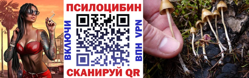 Псилоцибиновые грибы GOLDEN TEACHER  что такое   Няндома 